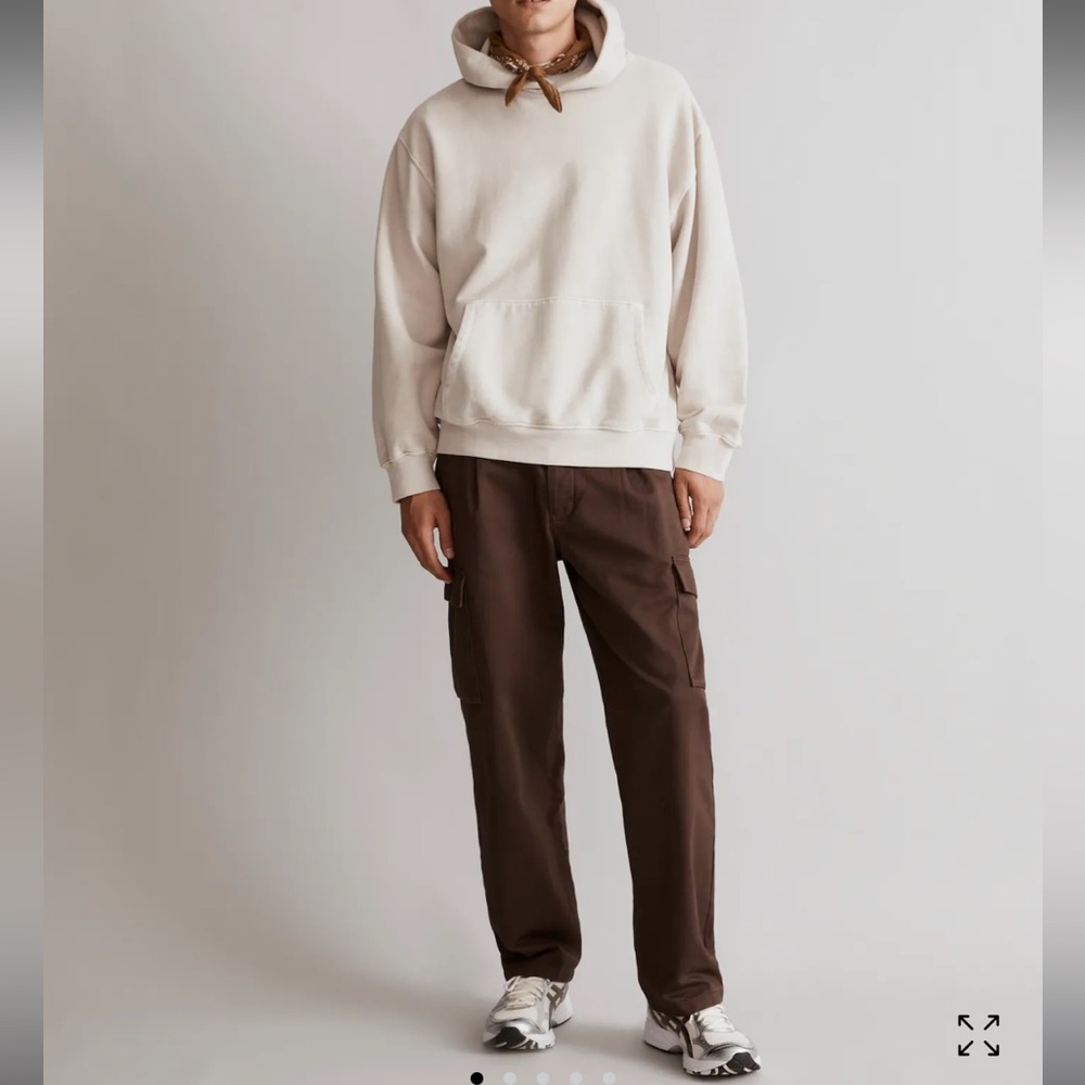 Madewell Men’s Pleated Cargo Pants in Brown Size 36x32